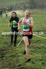 Girls under-15s 2022 North Eastern Harrier League, Thornley Farm, Peterlee, County Durham. Photo: David T. Hewitson/Sports for All Pics